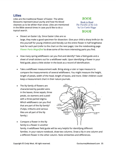sample page from a science curriculum for homeschoolers